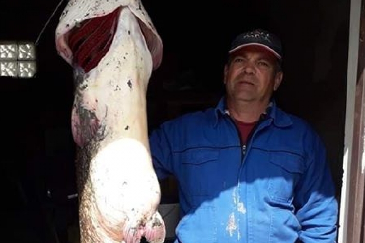 Óriási halat fogott az esztergomi horgász – FOTÓK