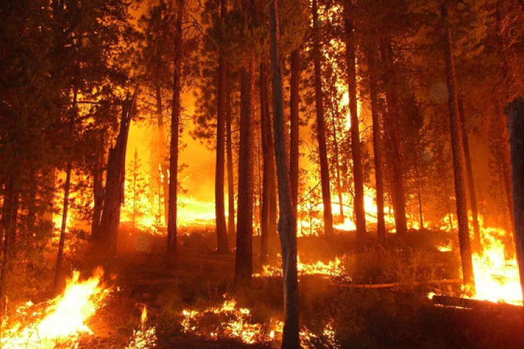 Óvatosan „gyújtogassunk” - megelőzhetők a szabadtéri tüzek