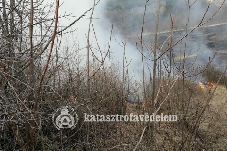Több hektáron lángolt az avar Nyergesújfalunál