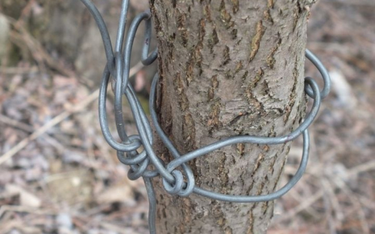 Hurokcsapdákkal vadásztak orvvadászok - elkapták őket a rendőrök