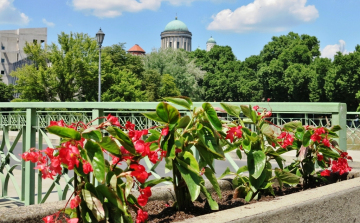 Kivirágzott Esztergom - FOTÓK