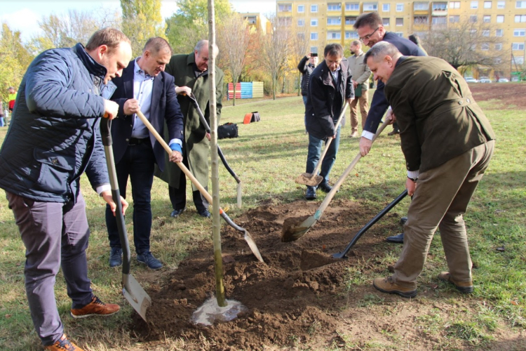 Esztergom tízezer fát és cserjét ültet a következő öt évben