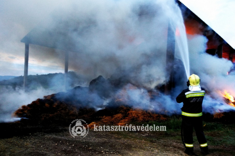 Így küzdöttek a tűzoltók a lángokkal Tokodaltárónál - FOTÓK