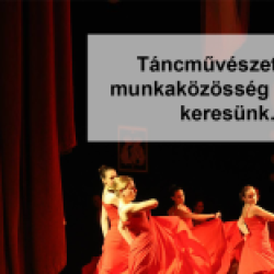 A Tetz AMI táncművészeti ágon munkaközösség-vezetői állást hirdet!