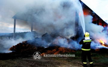 Így küzdöttek a tűzoltók a lángokkal Tokodaltárónál - FOTÓK