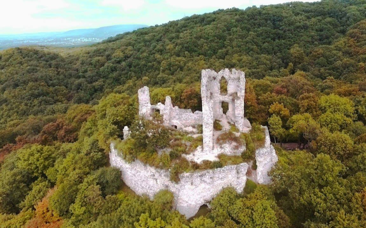 Újabb térségi kincsekkel bővült a megyei értéktár