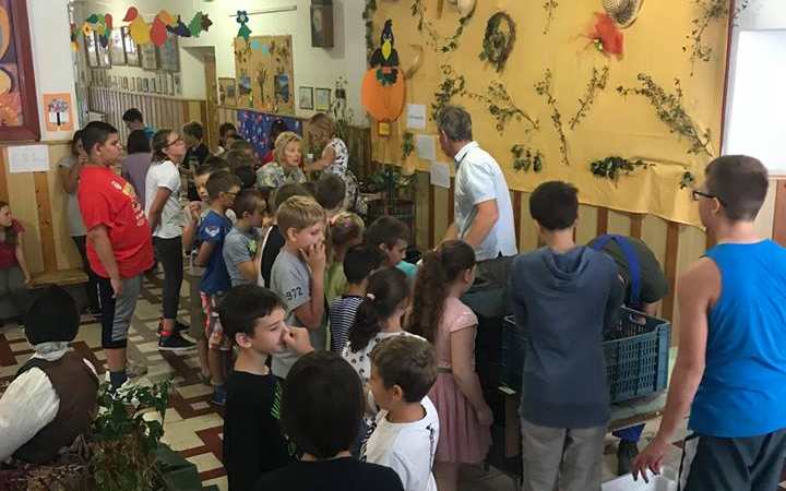 Szüreti mulatságot tartottak iskolások és óvodások