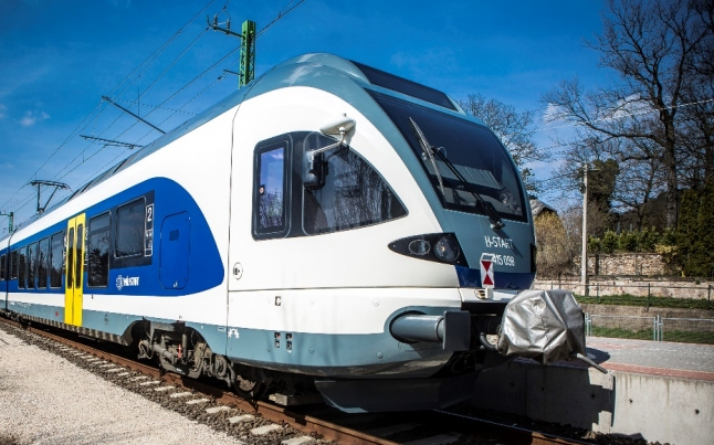 Kutya után fakidőlés okozott gondot az esztergomi vasútvonatlon