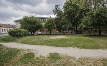 Megszépül a Városom!” – az utolsó szavazás
