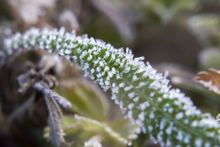 Durva lehűlés érkezik a hétvégén