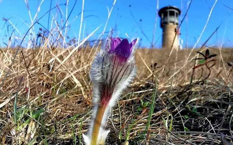 Indulnak a bunker és orchidea túrák