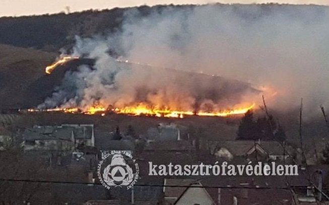 Órákon keresztül küzdöttek a tűzzel és a széllel az esztergomi tűzoltók