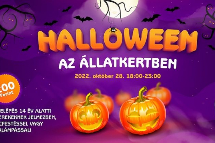 Halloweeni programokkal várja a látogatókat a Fővárosi Állatkert péntek este