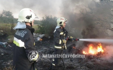 Letört faág és három tűz miatt is siettek az esztergomi tűzoltók - FOTÓK