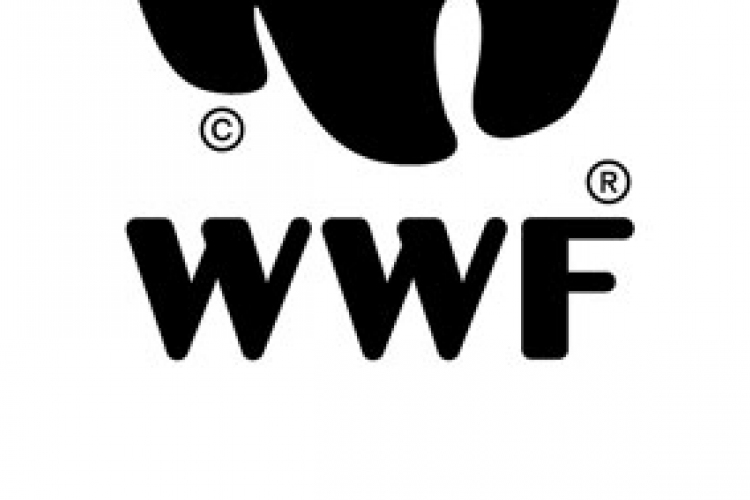 WWF: keddtől 133 napig 'a jövőnket fogyasztjuk'