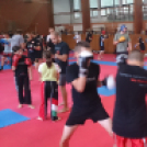 Vépen edzőtáboroztak kick-boxosaink