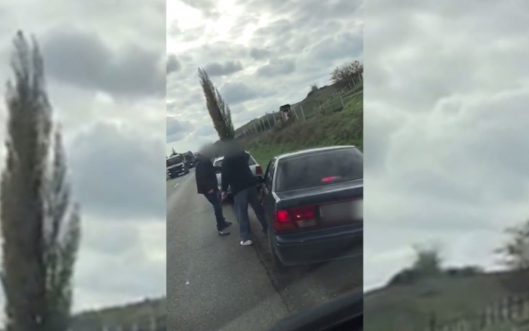 Viperával támadt az őrjöngő autós – döntött a bíróság - VIDEÓVAL