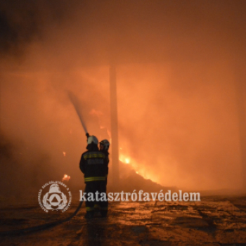 Így küzdöttek a tűzoltók a lángokkal Tokodaltárónál - FOTÓK