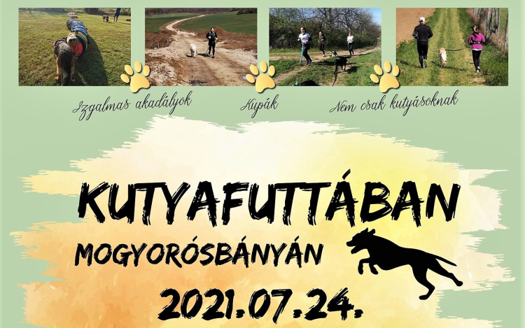 Kutyafuttában Mogyorósbányán