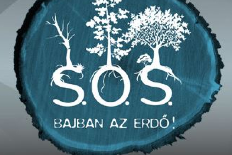 Siker után is folytatódik az S.O.S. - Bajban az erdő