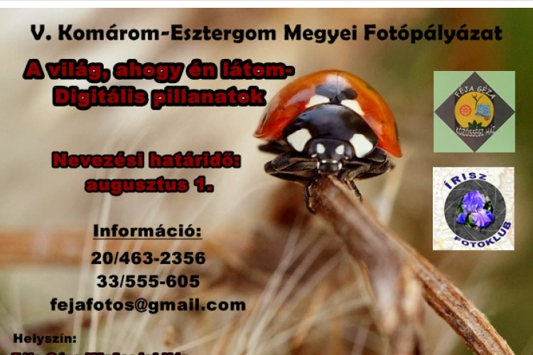 Fotópályázat: A világ, ahogy én látom- augusztusig lehet jelentkezni!