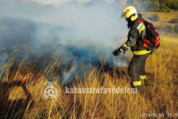 Nagy területen kapott lángra a száraz fű, a szélvihar is gondot okozott