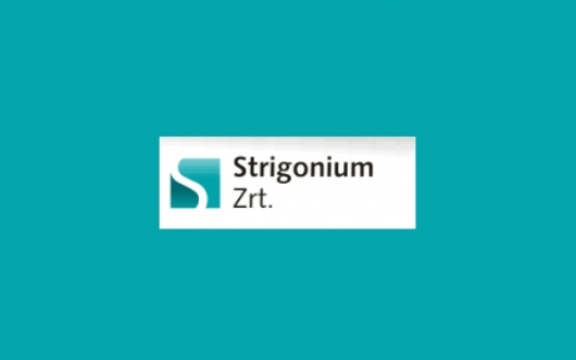Vezetőváltás a Strigonium Zrt.-nél