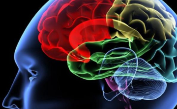 Alzheimert okozhat az agyrázkódás?