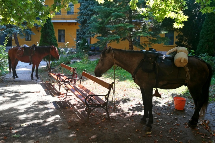 Lovasok a Bottyán palotában