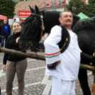 Borlovagok, szüreti felvonulás és fesztivál