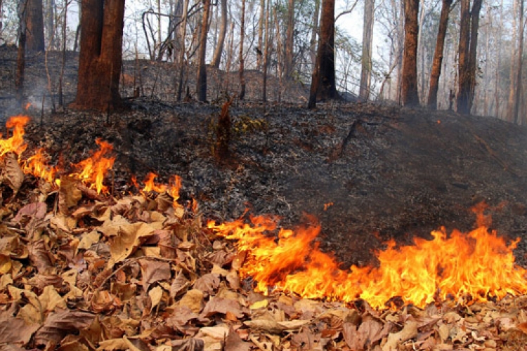 Szabadtéri tüzek: országos ellenőrzést indított a katasztrófavédelem