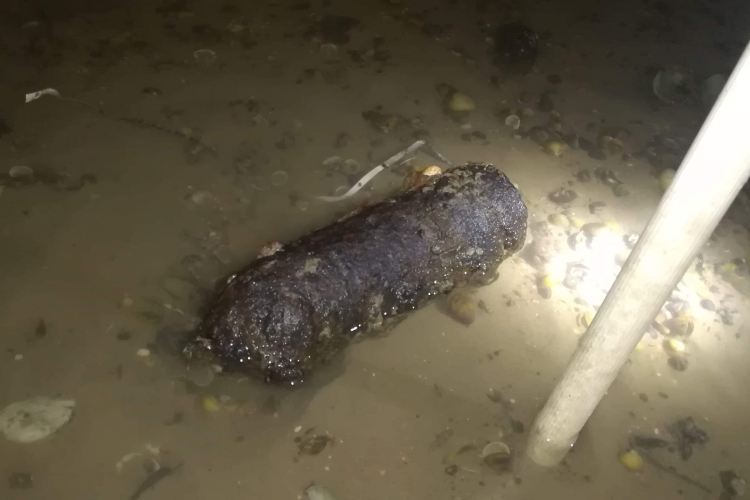 Még három bombát találtak a térségben