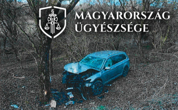 Fának ütközött a fiatalkorú