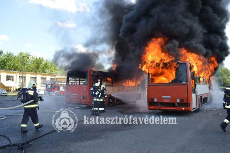 Buszok lángoltak Dorogon