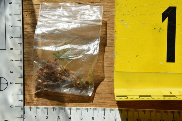 Elfogtak egy tokodi dílert - VIDEÓ