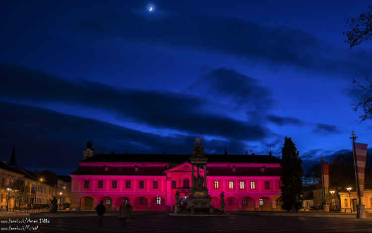 Esztergom is csatlakozott a Rózsaszín Fények éjszakájához