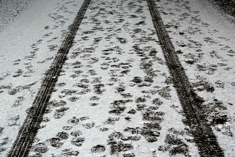 Óvatosan az utakon! - Mutatjuk milyen Esztergom és Dömös között - VIDEÓ