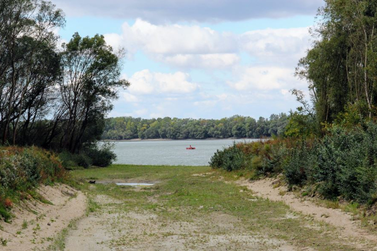 Helyreállították a Táti-szigetek vizes élőhelyeit