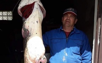 Óriási halat fogott az esztergomi horgász – FOTÓK