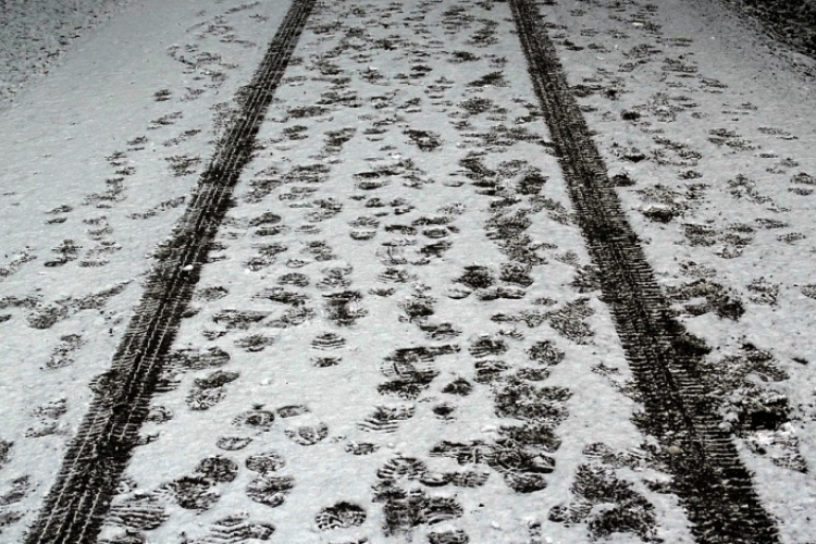 Óvatosan az utakon! A 11-es így néz ki! VIDEÓ