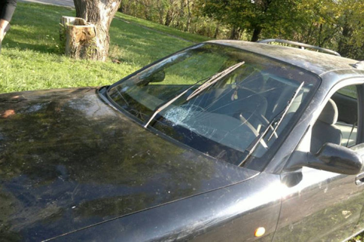 Emberölési kísérlet Dömösön – őrizetben a gyanúsított