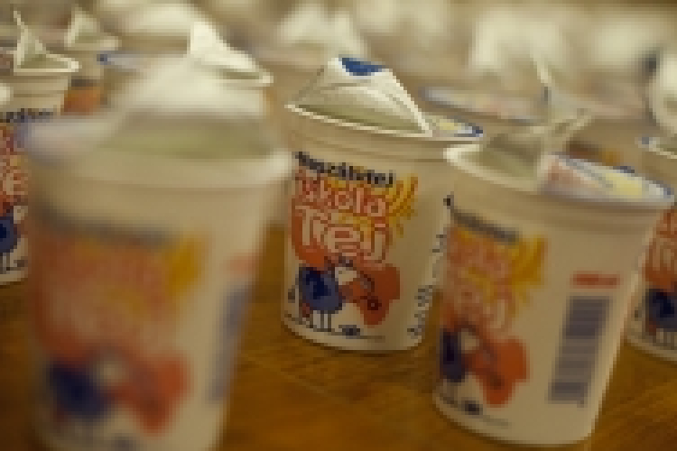 Emelt családi pótlékot kaphatnak a tejcukor-érzékenyek