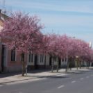 Kihagytatatlan Esztergom 3