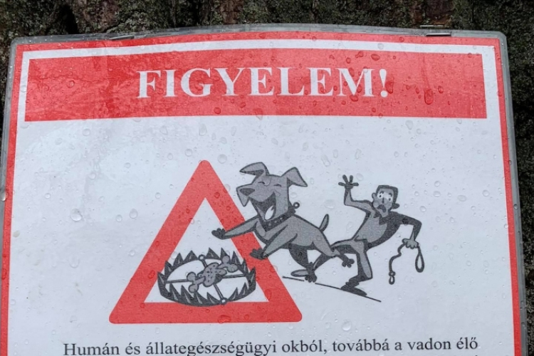 Ölőcsapdákra figyelmeztet a vadásztársaság - Újabb tájékoztatás!