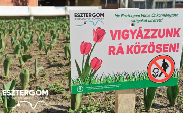 Virágok ezreivel szépül Esztergom