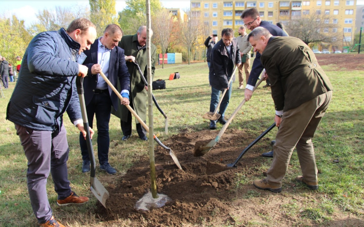 Esztergom tízezer fát és cserjét ültet a következő öt évben