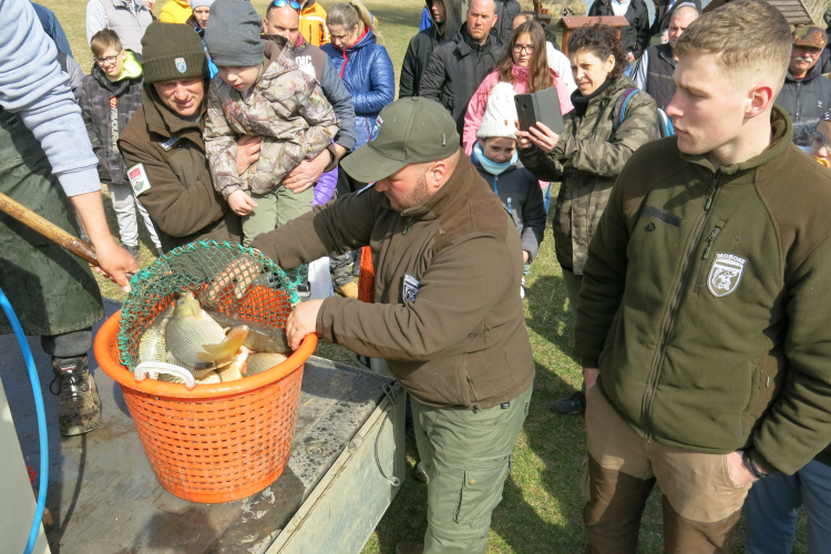 Több százan vettek részt a megyei horgászok környezetvédelmi programjain
