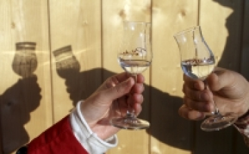 2014 a körtepálinka éve 