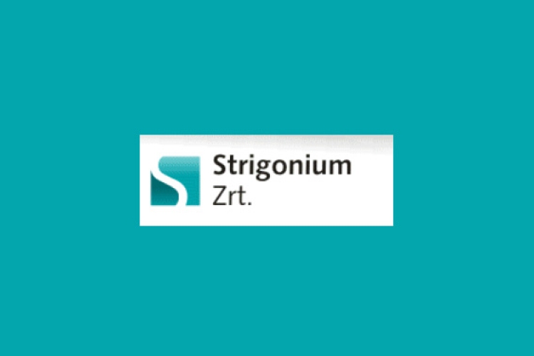 Strigonium Zrt - Vezérigazgatói beszámoló 2014. február 1. – 28.