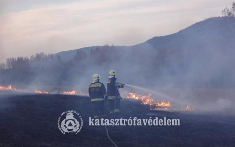 Lángra lobbant a megye – sorozatos avartüzek - FOTÓK